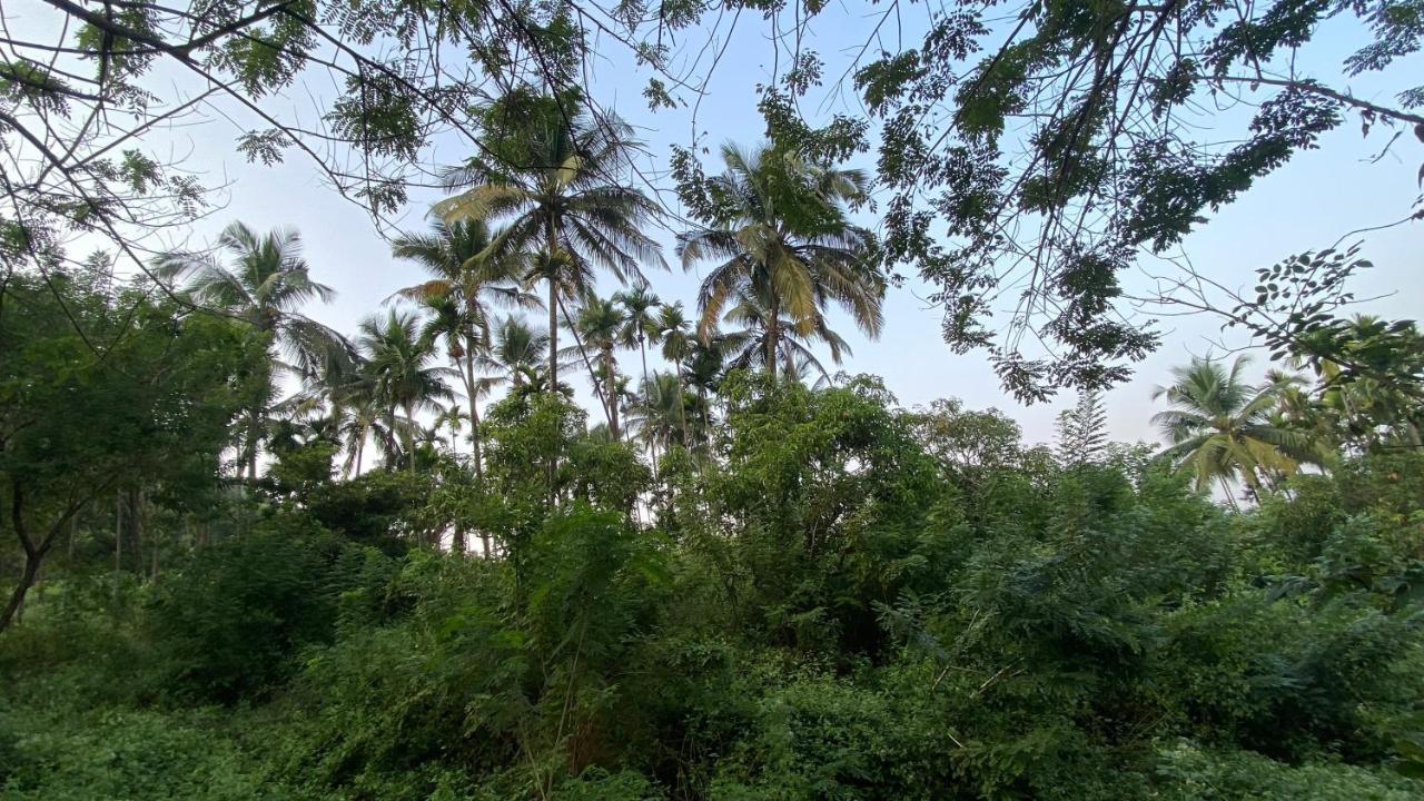 Lermitage Farms Kashid Alibaug Vila Exterior foto